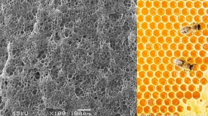 epp發泡聚丙烯的顯微結構，可以看到這是種連續閉孔結構，類似于蜂窩